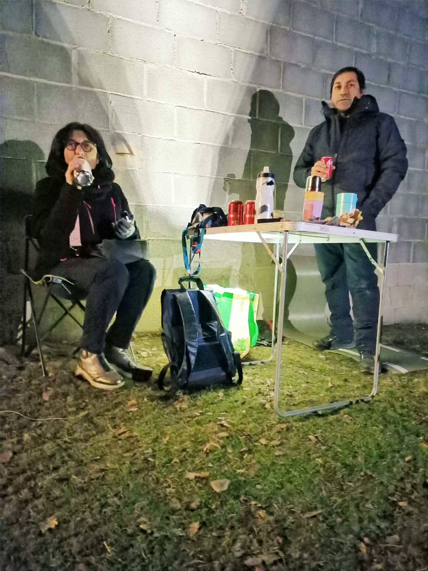 Geminids 1