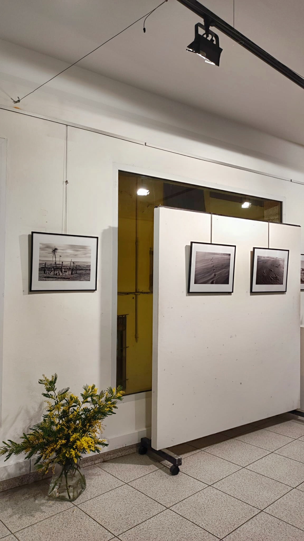 Inauguració 3