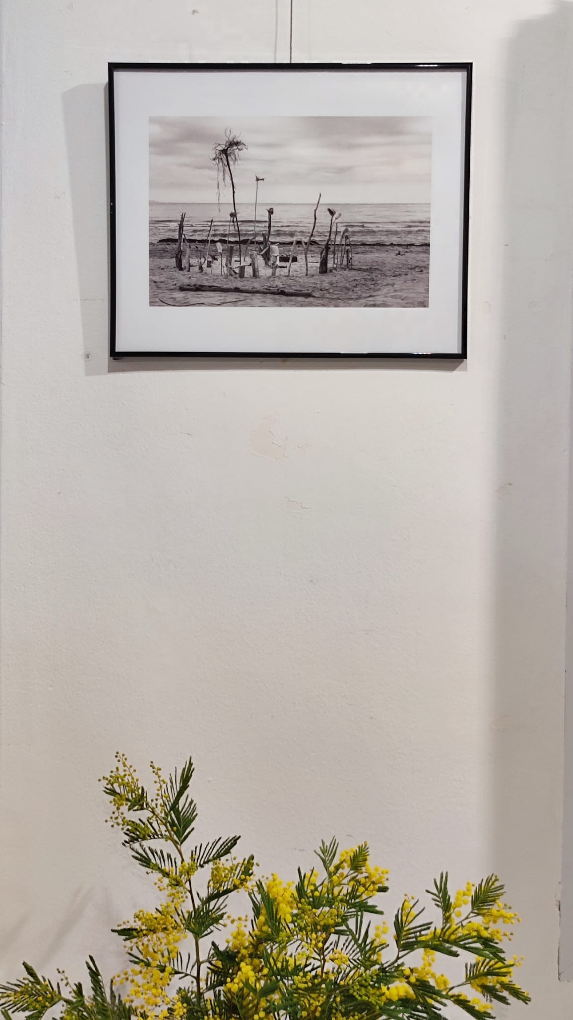 Inauguració 2