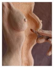 Anatomia de Grey