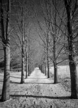 Passeig Llandrius