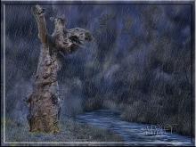 SOTA LA PLUJA