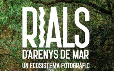 Rialsnoticia