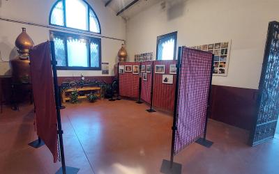 Inauguració de l'exposició del Curs d'iniciació a la Fotografia.