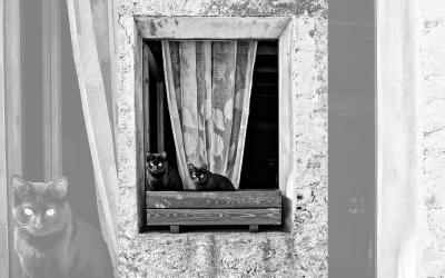 Arnau Tornero - Portes i Finestres