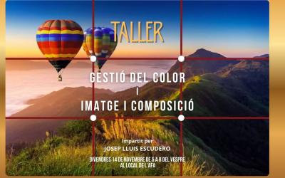 Banner GESTIÓ DEL COLOR