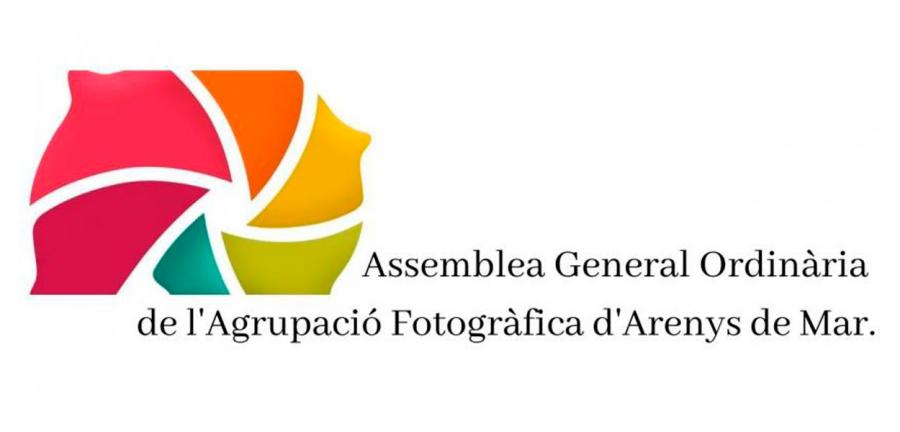 Acta de l'Assemblea 2020