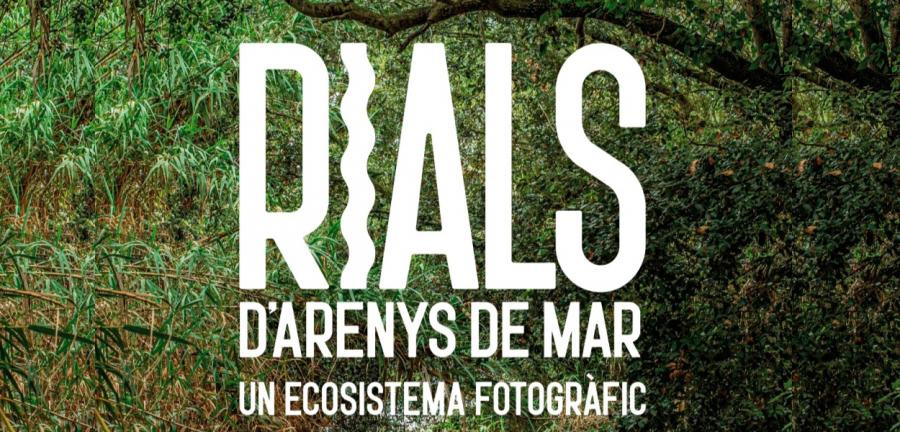 Rialsnoticia