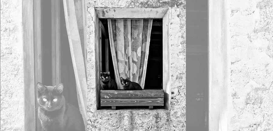 Arnau Tornero - Portes i Finestres
