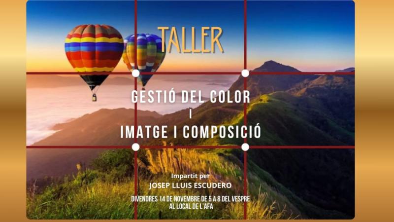 Banner GESTIÓ DEL COLOR